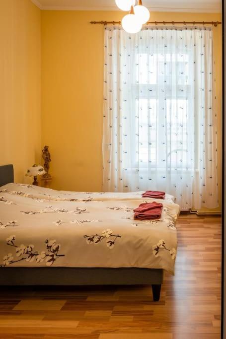 Casa Max Apartment ทิมิชัวรา ภายนอก รูปภาพ